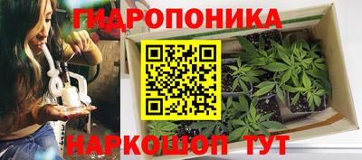 МДПВ Тулун