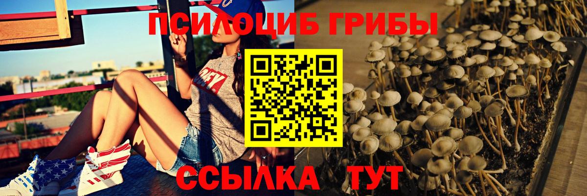 Назарово  Галлюциногенные грибы мухоморы  Псилоцибиновые грибы мицелий  даркнет сайт  Вход с VPN 